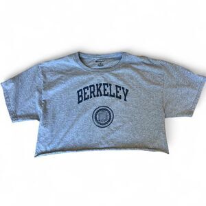 Champion Berkeley Women's Grey Crop Top T-shirt